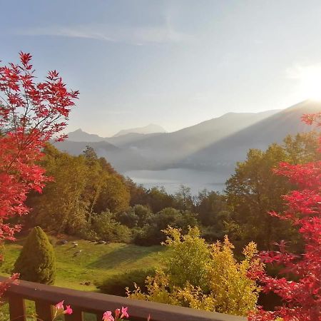 La Finestra Sul Lago Panzió Brusimpiano Kültér fotó