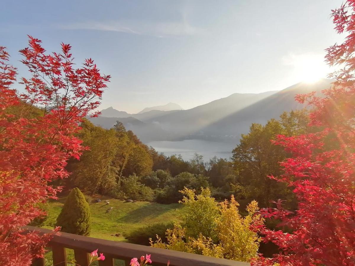 La Finestra Sul Lago Panzió Brusimpiano Kültér fotó