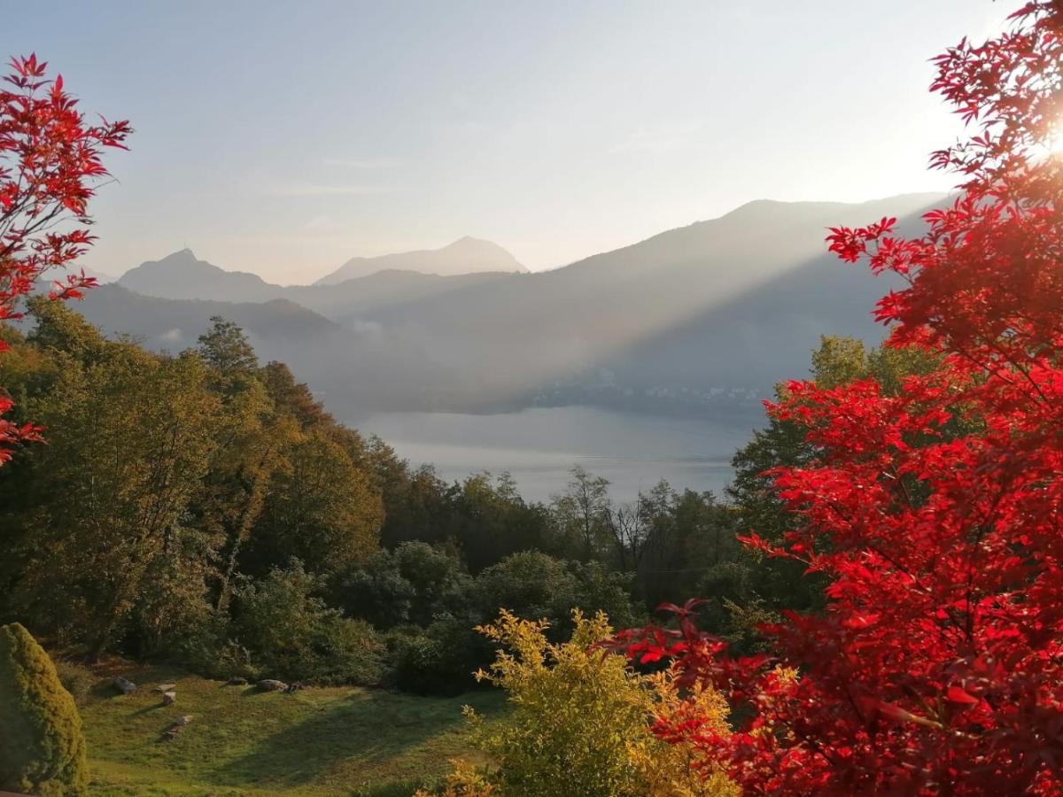 La Finestra Sul Lago Panzió Brusimpiano Kültér fotó