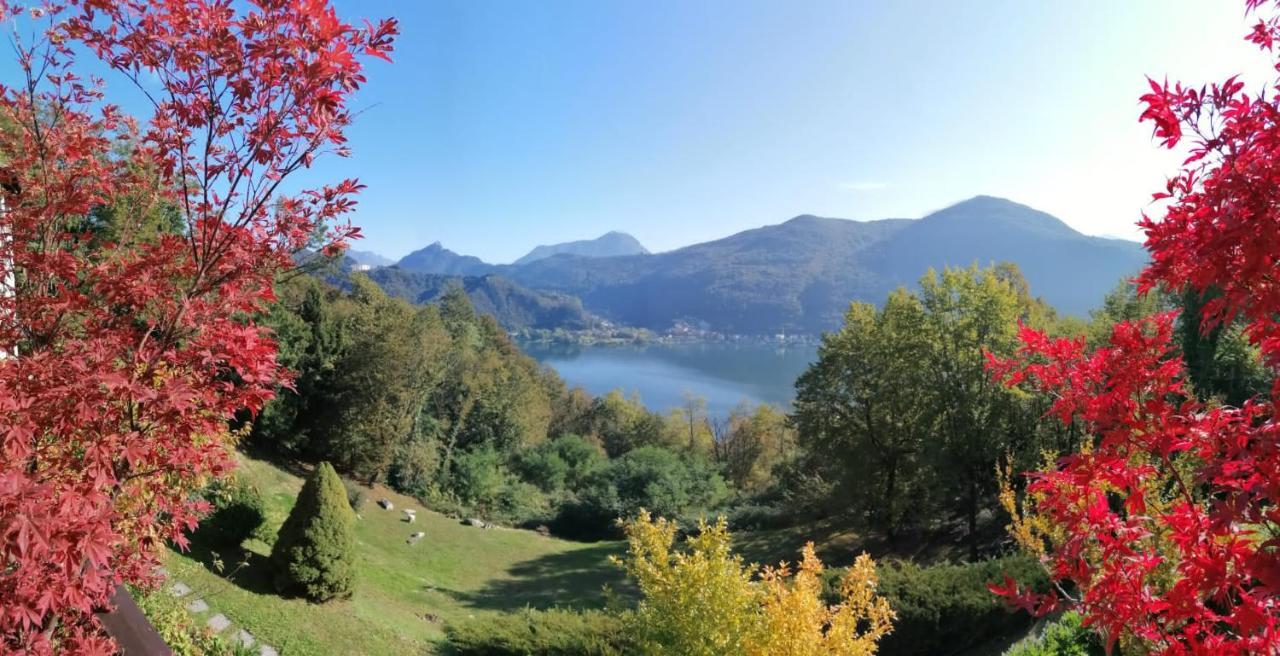 La Finestra Sul Lago Panzió Brusimpiano Kültér fotó