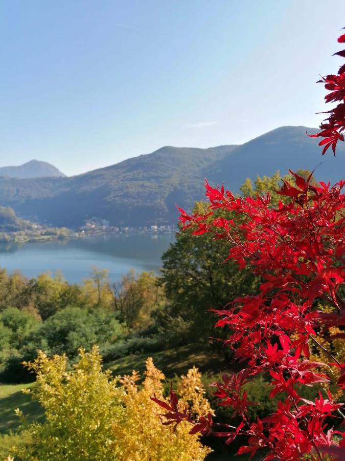 La Finestra Sul Lago Panzió Brusimpiano Kültér fotó