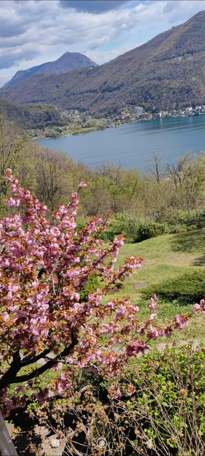 La Finestra Sul Lago Panzió Brusimpiano Kültér fotó